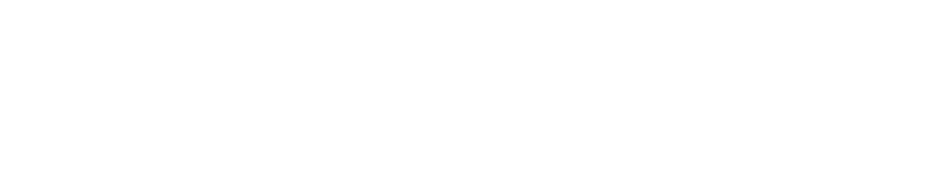 logo de website